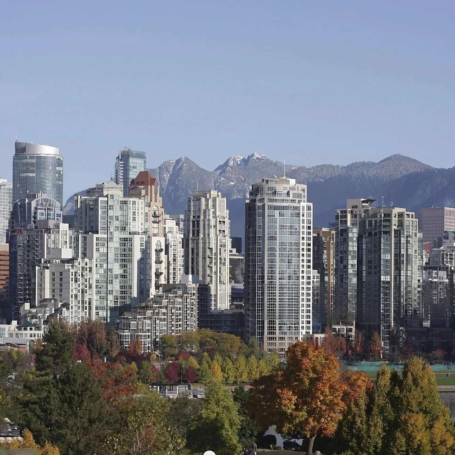 What Our Clients Say