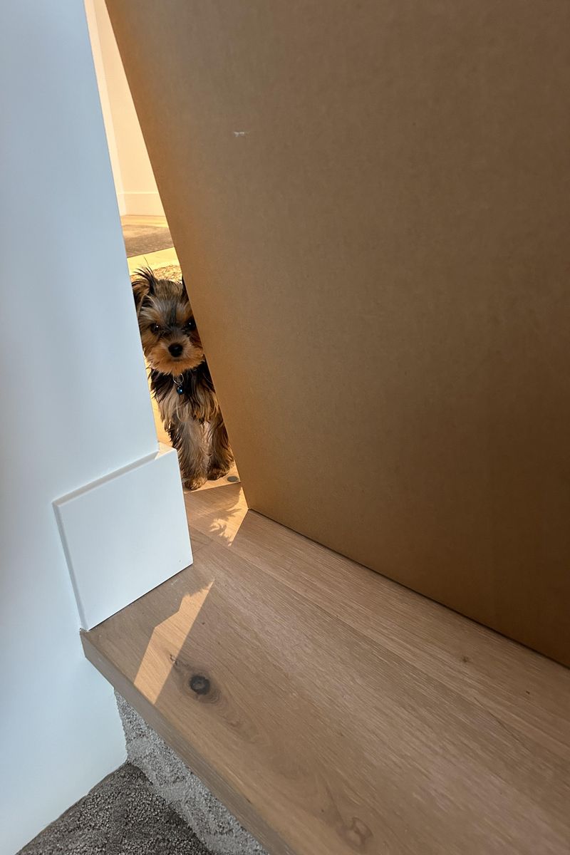 17-West-Coast-Home-flooring-project