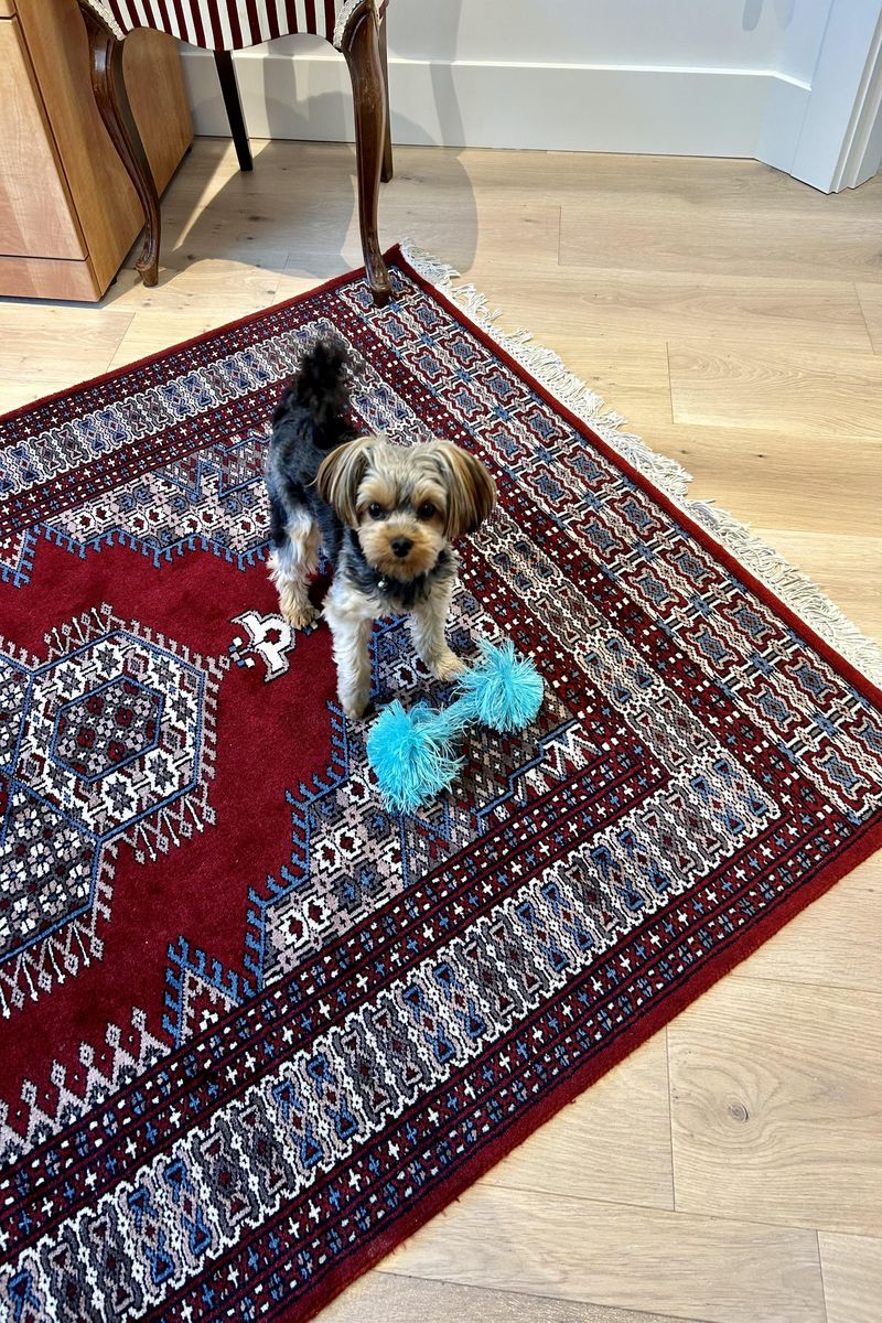 5-West-Coast-Home-flooring-project