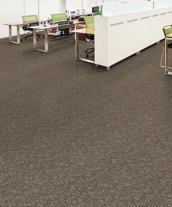 Construe Carpet
