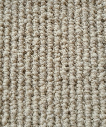 Stapleford Plus Carpet - Green Label