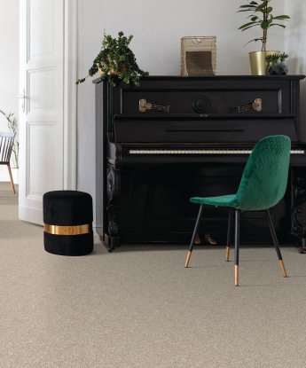Prodigy Carpet