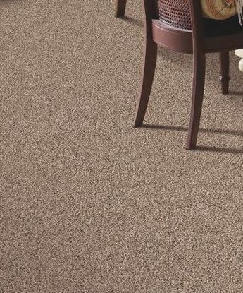 Shoreline Carpet