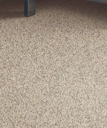 Tonal Journey Carpet