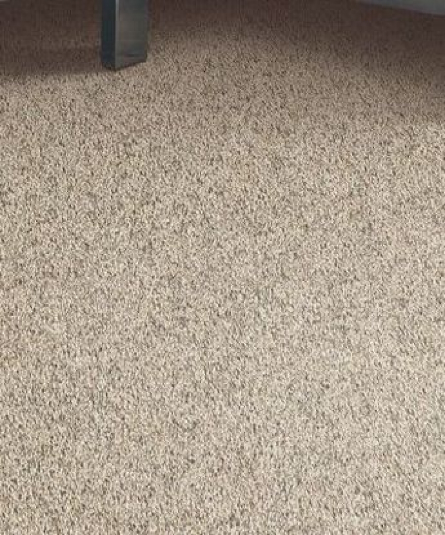 Tonal Journey Carpet