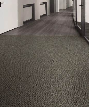 Replenish Carpet