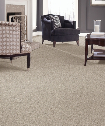 Perfect Attraction Carpet