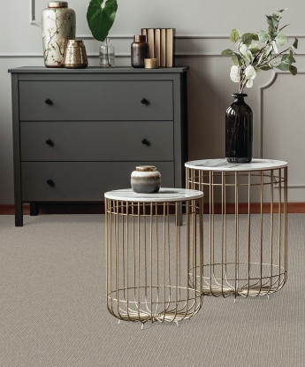 Greatest Pride Carpet