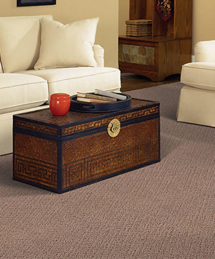 Inspiring Moment Carpet